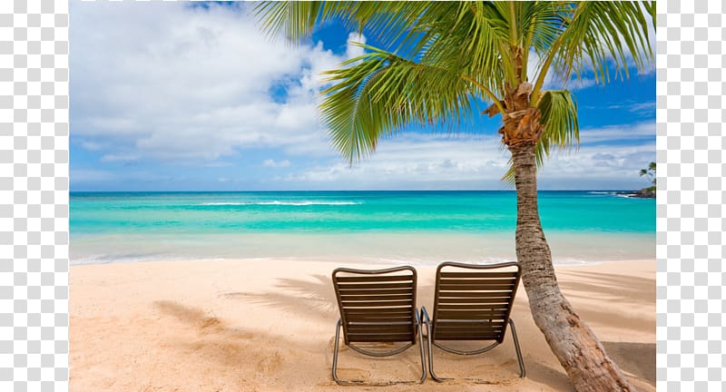 Beach Waikiki Desktop Tropical Islands Resort Summer vacation, beach transparent background PNG clipart