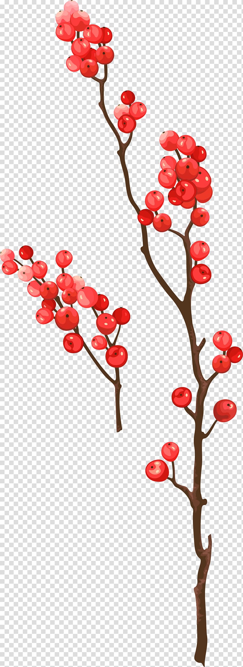 cherry on tree illustration, Frutti di bosco Berry, decorative red berries transparent background PNG clipart