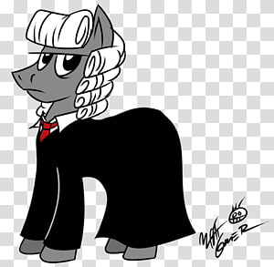 Whiskers Cat Pony Horse Canidae, Cat transparent background PNG clipart thumbnail