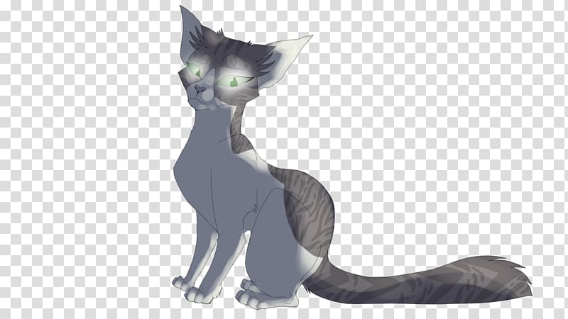 Kitten Korat Whiskers Domestic short-haired cat Dog, kitten transparent background PNG clipart