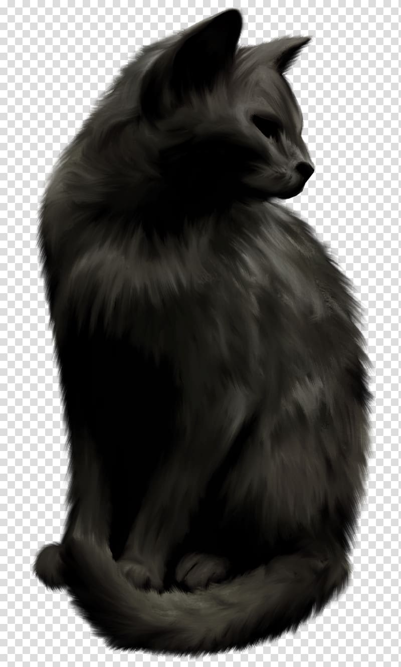 Norwegian Forest cat Nebelung Black cat Whiskers, Witch Cat transparent background PNG clipart