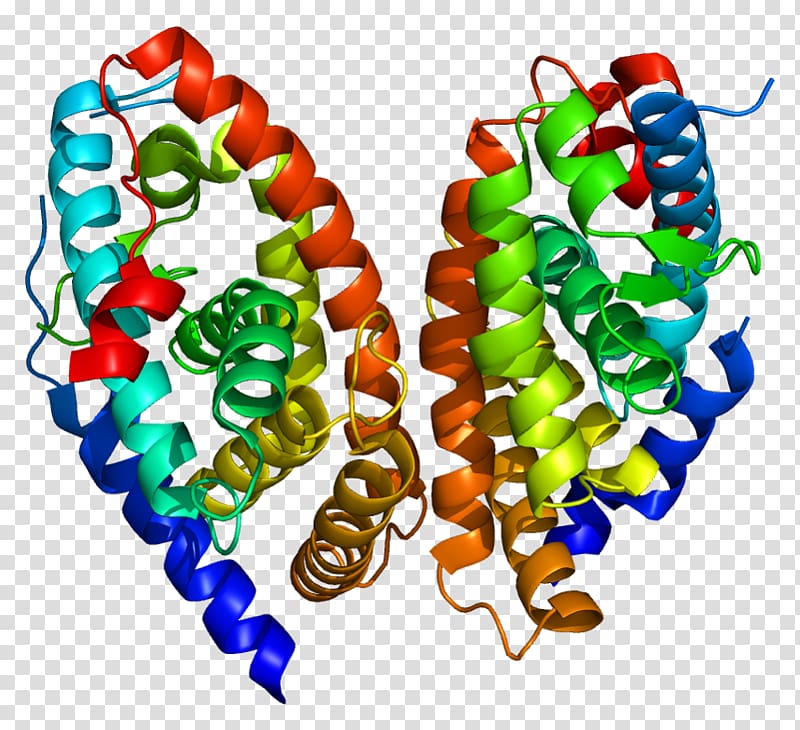 Retinoic acid receptor alpha Nuclear receptor, hormone transparent background PNG clipart