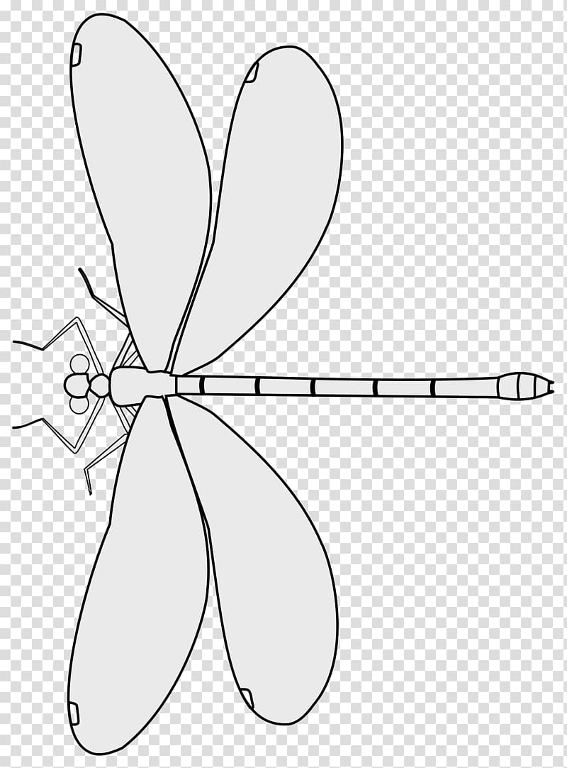 Leaf Cartoon Petal Line art , dragonfly sketch transparent background PNG clipart