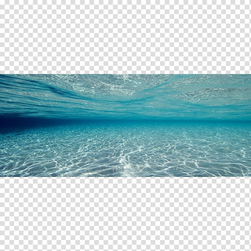 Indian Ocean Shore Underwater Seascape, drift away transparent background PNG clipart