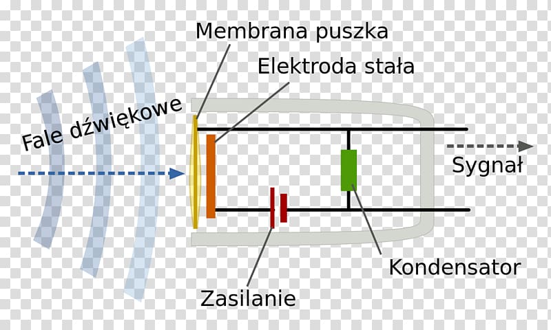 Microphone Diaphragm Sound Condensatormicrofoon Wikimedia Commons, microphone transparent background PNG clipart