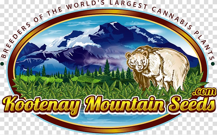 Cattle Tourism, Kootenays transparent background PNG clipart