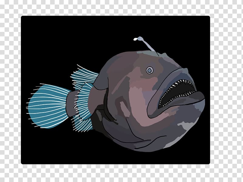Anglerfish Deep sea fish Mouth Snout, fish transparent background PNG clipart