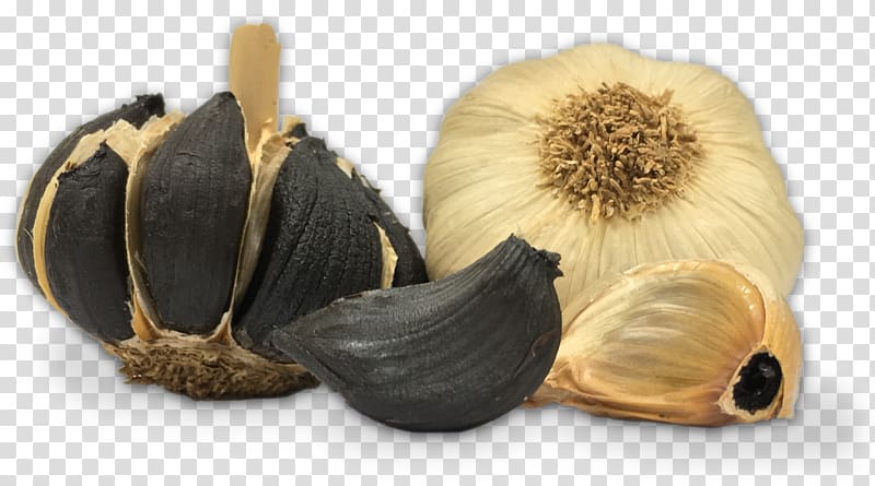 Black garlic Food Ajos Pedroñete Vegetarian cuisine, garlic transparent background PNG clipart