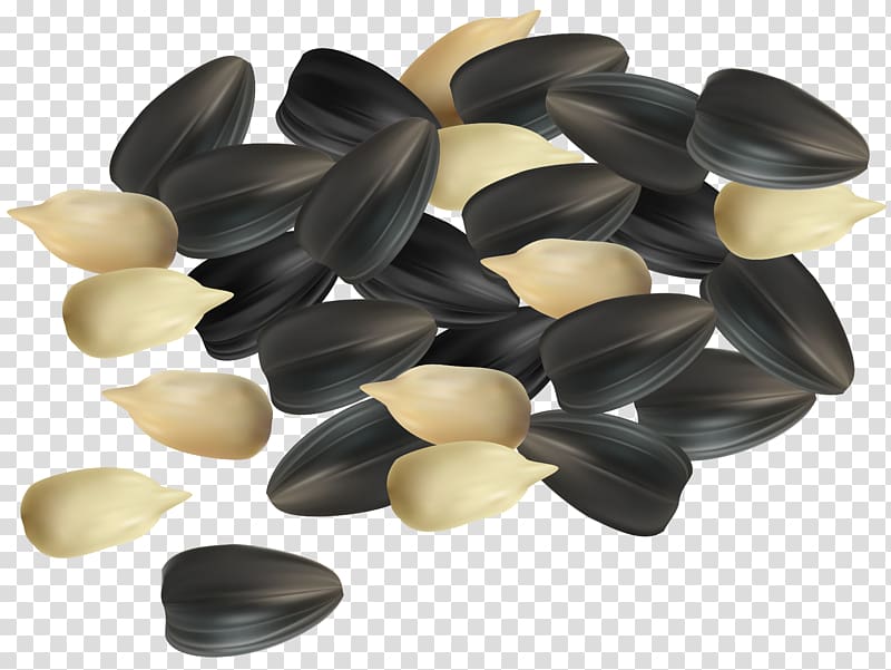 bunch of black and white seeds illustration, Sunflower seed Common sunflower Acorn , Sunflower Seeds transparent background PNG clipart