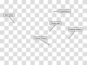 Line Brand Angle Point, line transparent background PNG clipart thumbnail