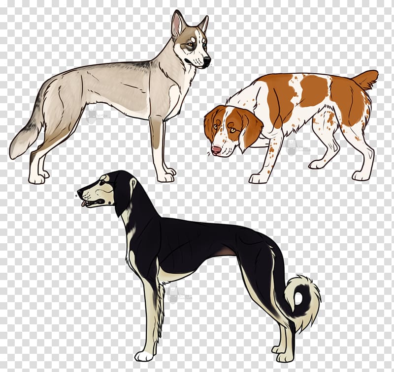 Mixed Breed Transparent Background Png Cliparts Free Download