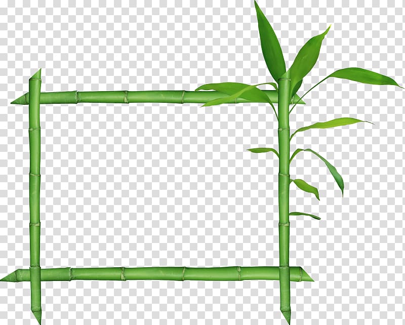 Bamboo Raster graphics , bamboo frame transparent background PNG clipart