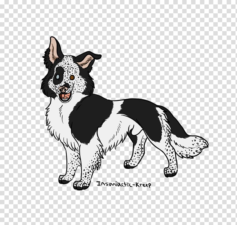 Dog breed Border Collie Rough Collie Drawing Leash, border collie transparent background PNG clipart