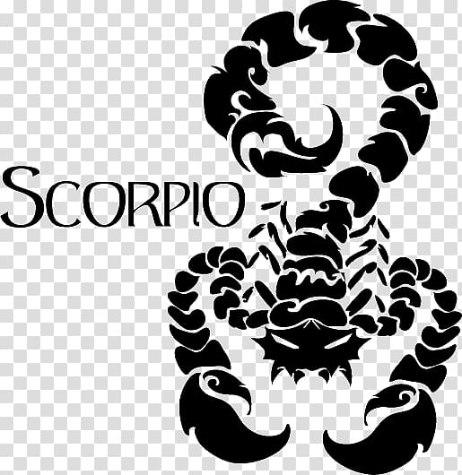 scorpio zodiac illustration, Scorpio Astrological sign Sun sign astrology, Scorpio Zodiac Symbol HD transparent background PNG clipart