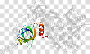 Organism , design transparent background PNG clipart thumbnail