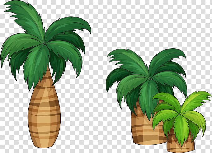 Arecaceae Illustration, coconut tree,tree,Leaves transparent background PNG clipart