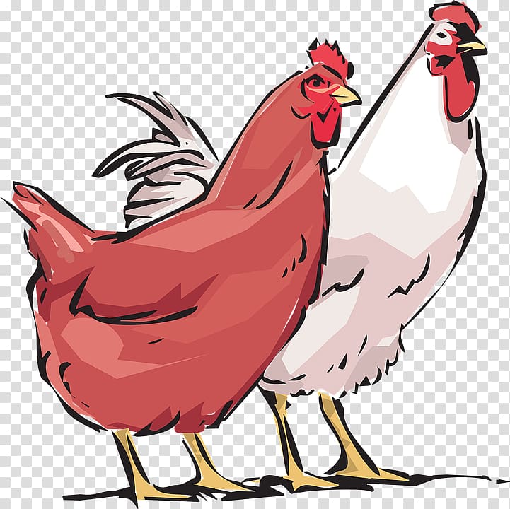 Chicken as food Poultry farming Rooster, cockhd transparent background PNG clipart