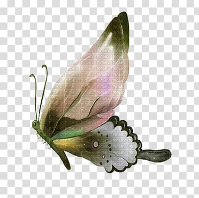 Butterfly Painting , butterfly transparent background PNG clipart