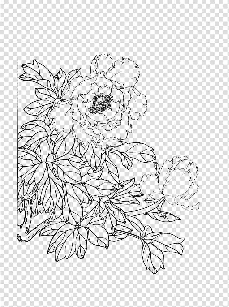 Visual arts Line art, peony transparent background PNG clipart