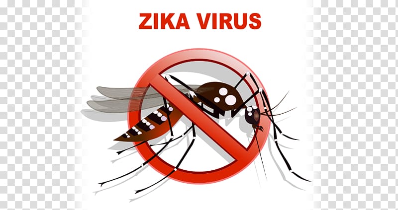 Yellow fever mosquito Zika virus Zika fever Dengue Transmission, Zika Virus transparent background PNG clipart