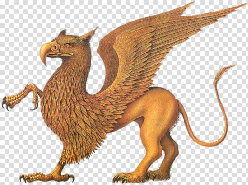 Legendary creature Mythology Griffin Cockatrice Phoenix, Griffin transparent background PNG clipart