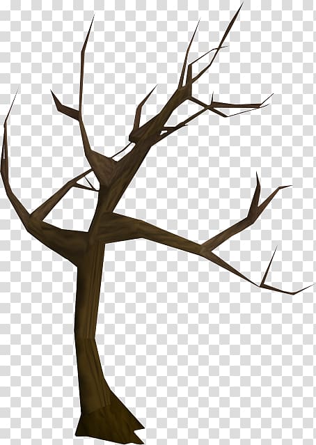 Wikia Twig RuneScape, Stanford Tree transparent background PNG clipart