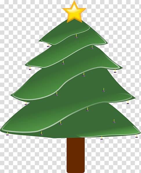 Pine Christmas tree Fraser fir , christmas tree transparent background PNG clipart