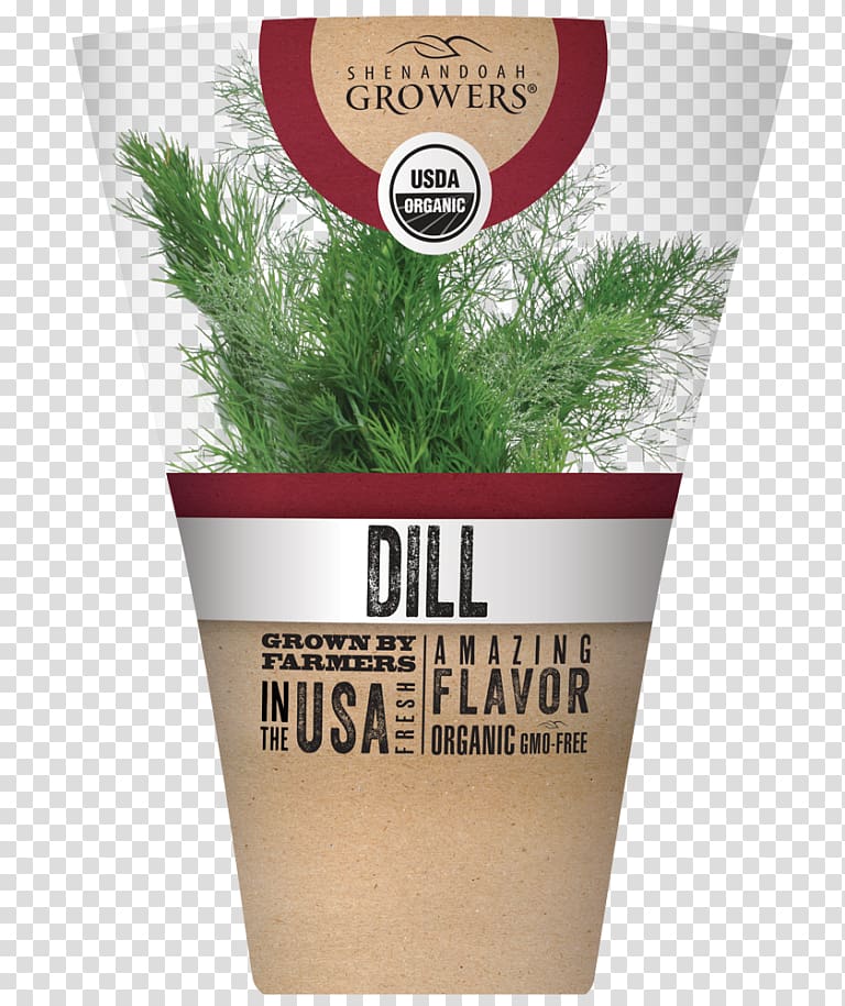 Herb Flowerpot Dill, Shenandoah Growers Inc transparent background PNG clipart