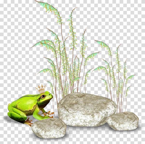 , Stone frog transparent background PNG clipart