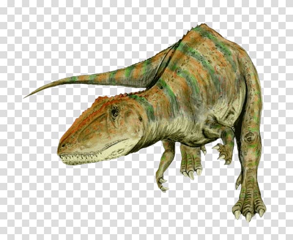Carcharodontosaurus Giganotosaurus Tyrannosaurus Spinosaurus Allosaurus, dinosaur transparent background PNG clipart