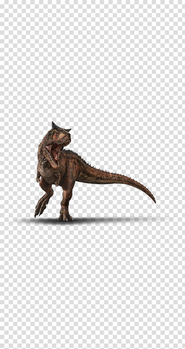 Velociraptor Dinosaur Tyrannosaurus Indoraptor Carnotaurus, carnotaurus jurassic world transparent background PNG clipart