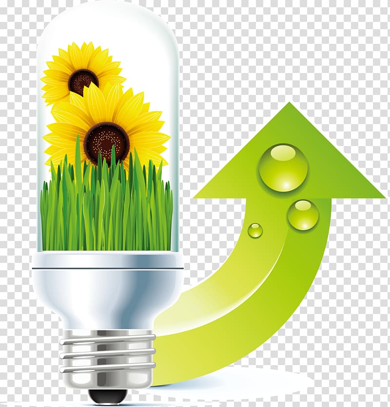 , Grass sunflower light bulb elements transparent background PNG clipart