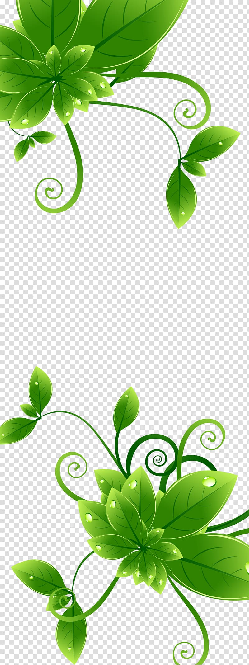 two green leafed plant , , Green background transparent background PNG clipart
