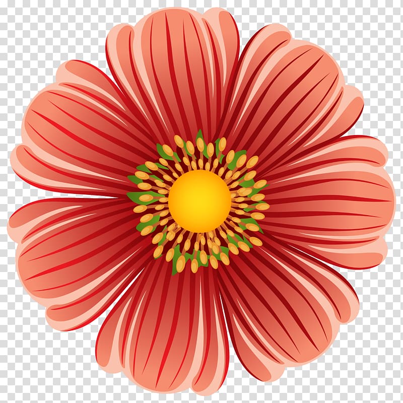 orange Gerbera flower , Flower illustration , Large Flower transparent background PNG clipart
