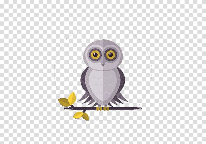 Barn owl Bird Drawing, Grey Owl flat design transparent background PNG clipart