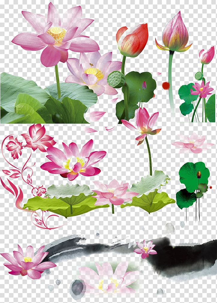 Leaf Adobe Illustrator Computer file, Pink Lotus lotus leaf effect element transparent background PNG clipart