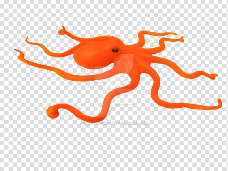 Enteroctopus dofleini Cephalopod , others transparent background PNG clipart