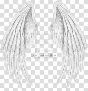 Featured image of post Picsart Wings Background Png - Hey guys if you want to download all type editing background like picsart background, cb background, studio background, editing png.