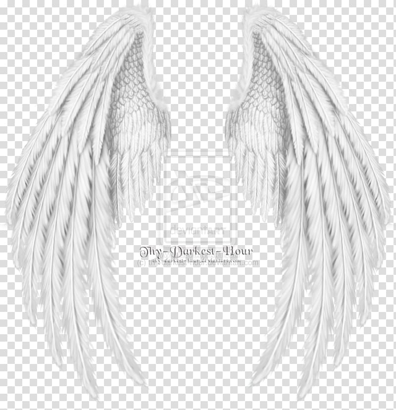 supernatural angel wings drawing