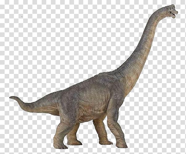 Brachiosaurus Tyrannosaurus Dinosaur Morrison Formation Baryonyx, long neck transparent background PNG clipart