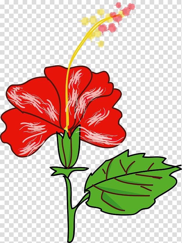 Shoeblackplant Flower Hawaiian hibiscus Drawing , Ibis transparent background PNG clipart