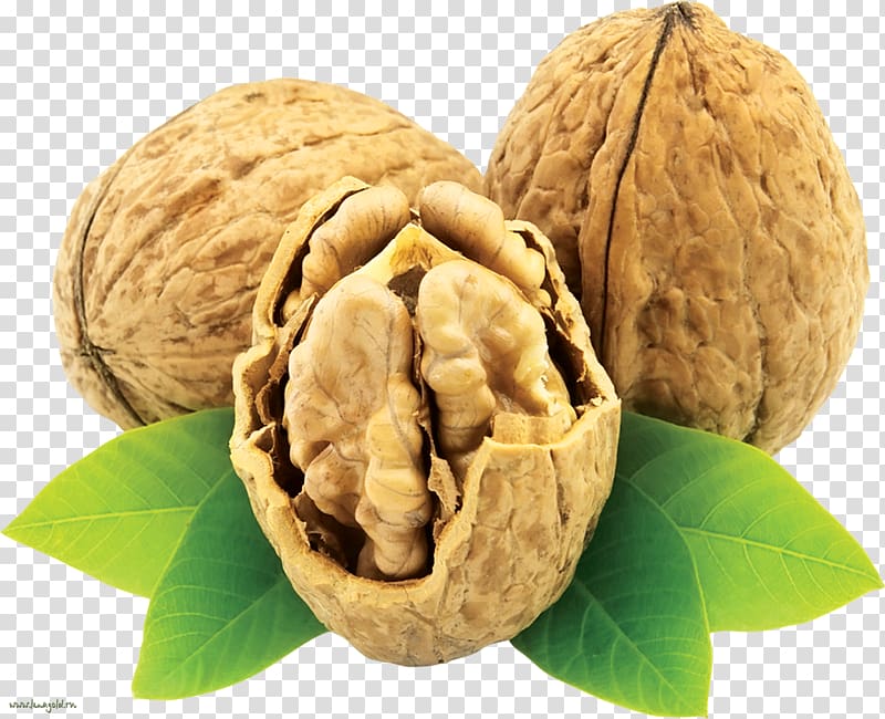 English walnut Eastern black walnut Nuts, walnut transparent background PNG clipart