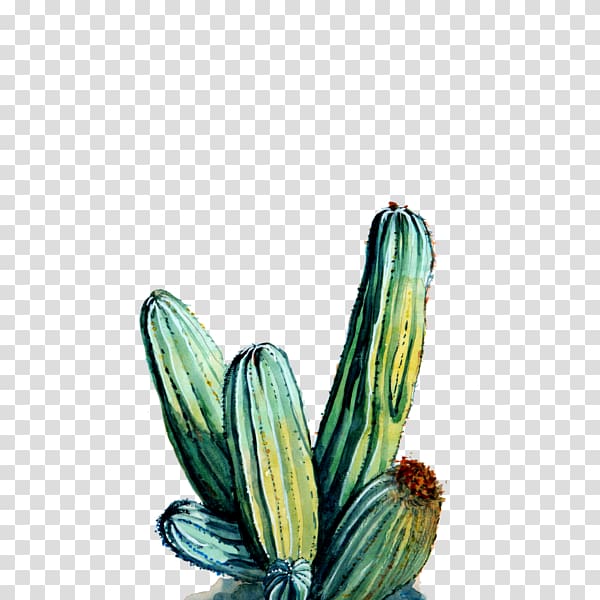 Cactaceae Printmaking Art museum Flower, watercolor cactus transparent background PNG clipart