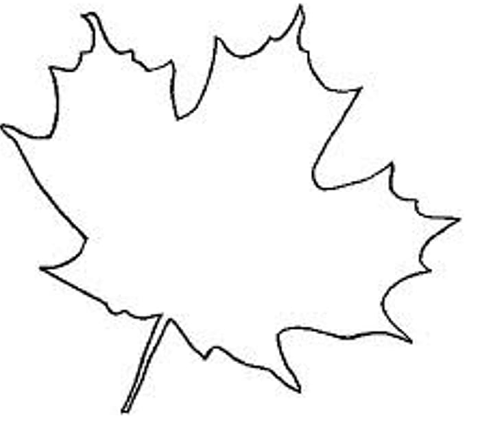 Sugar maple Japanese maple Canada Maple leaf, Maple Leaf Outline transparent background PNG clipart