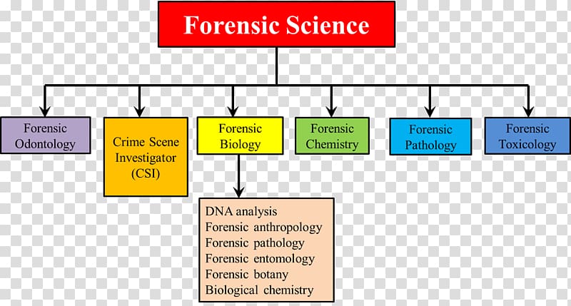 Forensic science Forensic pathology Forensic dentistry Forensic chemistry, sociology transparent background PNG clipart