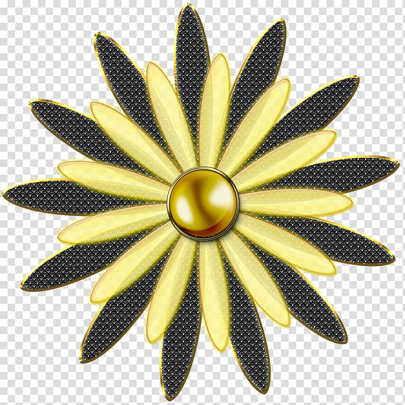 Color Media Expert Camera Flower Shape, Camera transparent background PNG clipart