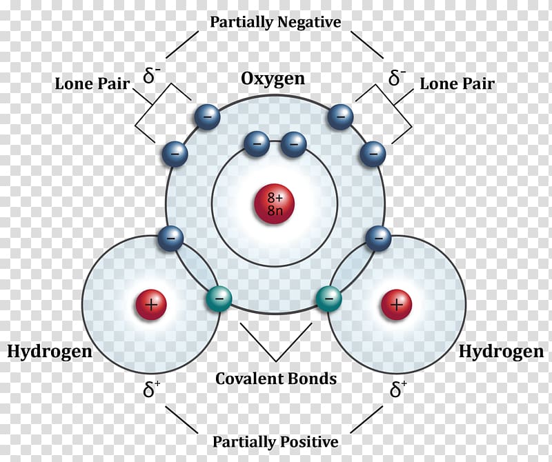 Hydrogen atom Water Molecule Molecular orbital diagram, water transparent background PNG clipart