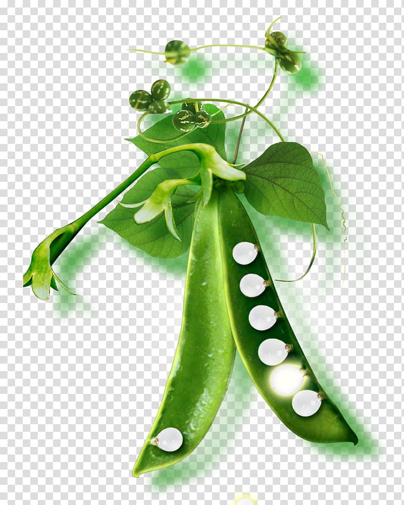 Pea soup Green bean, Creative peas transparent background PNG clipart