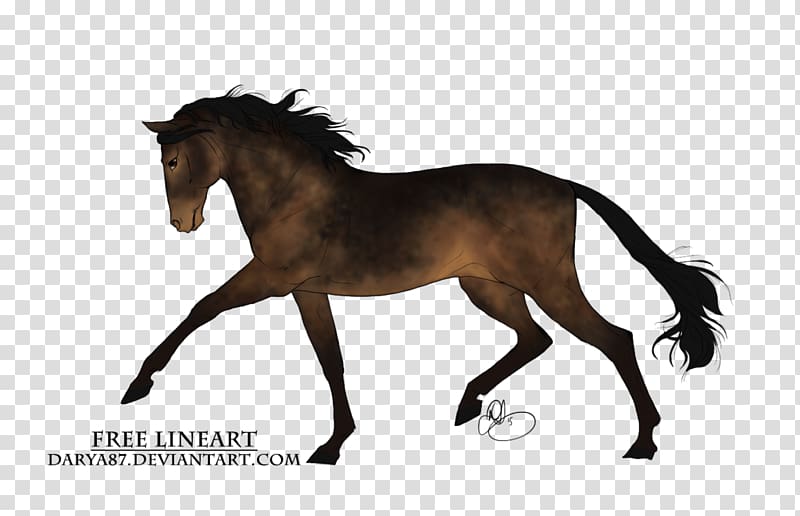 Mane Mustang Stallion Foal Mare, Seal Brown transparent background PNG clipart