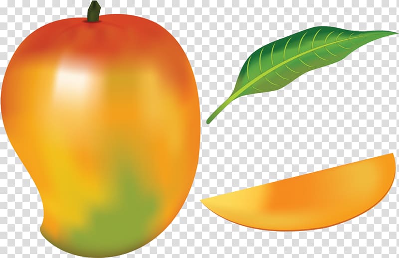 Mango Fruit Drawing , mango transparent background PNG clipart